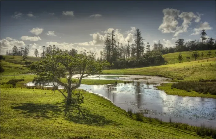 Framed Print : Wetlands in the Mission valley, Norfolk Island, South Pacific