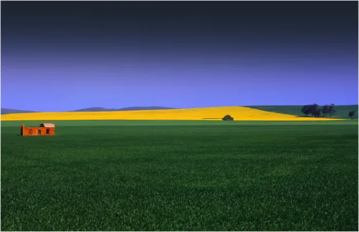 Framed Print : Wheat fields Burra South Australia