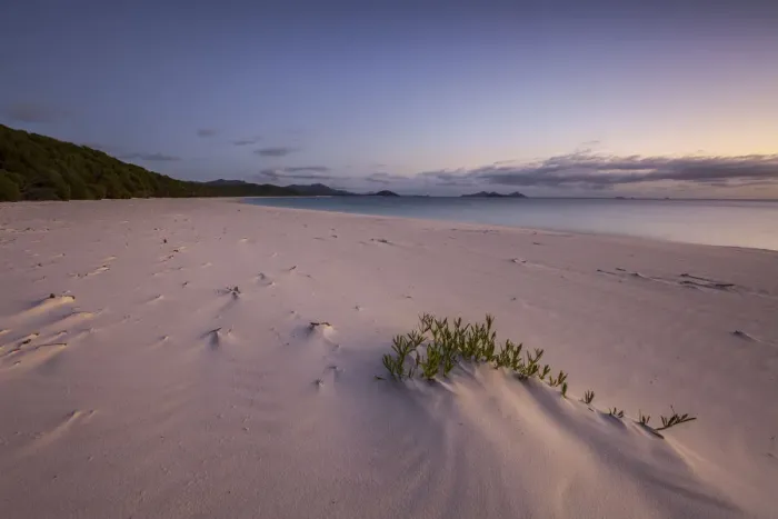 Framed Print : Whitehaven Beach