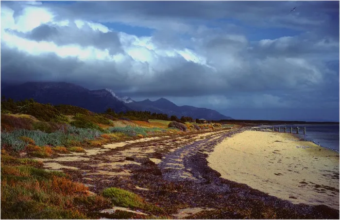 Framed Print : Whitemark beach, Flinders Island, Bass Strait, Tasmania, Australia Framed Print : Whitemark beach, Flinders Island, Bass Strait, Tasmania, Australia