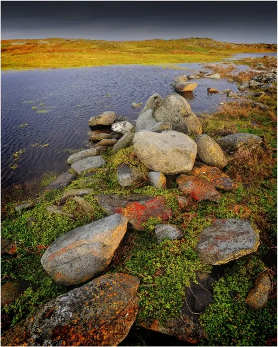 Framed Print : Wild moorland near Surprise bay in winter, King Island, Bass Strait, Tasmania, Australia