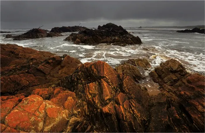 Framed Print : Wild and scenic, the West coast of Tasmania in the Tarkine region, Australia