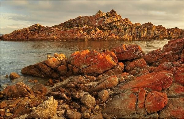 Wild and scenic, the West coast of Tasmania in the Tarkine region, Australia