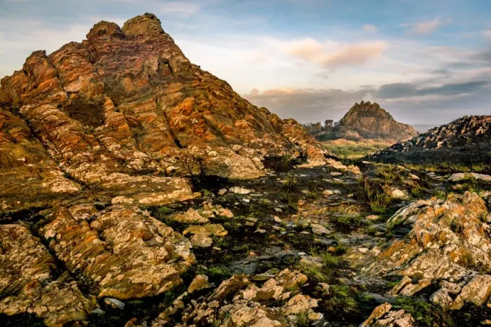 Framed Print : Wild Tarkine Coast after Bush fires, Tasmania