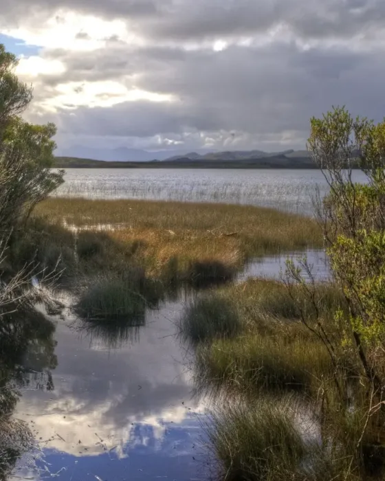 Framed Print : Wilderness bay and swamp and moving weather front