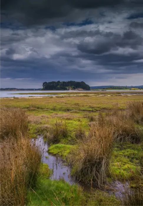 Framed Print : Wildlife and recreational reserve of Arne, the Isle of Purbeck, Dorset, England, United Kingdom Framed Print : Wildlife and recreational reserve of Arne, the Isle of Purbeck, Dorset, England, United Kingdom