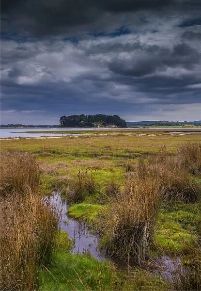 Wildlife and recreational reserve of Arne, the Isle of Purbeck, Dorset, England, United Kingdom