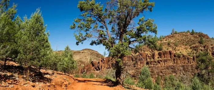 Framed Print : Willow springs flinders ranges