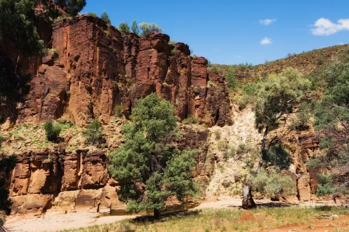 Framed Print : Willow Springs flinders ranges Framed Print : Willow Springs flinders ranges
