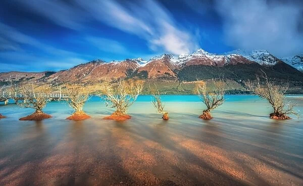 The Willow Trees of Glenorchy