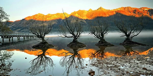 Willows of Glenorchy