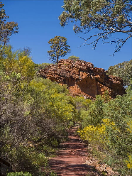 Wilpena canyon, Flinders Ranges, outback South Australia