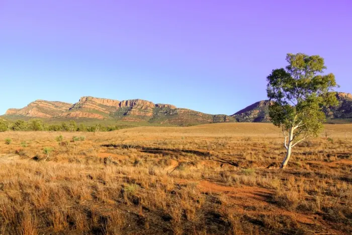 Framed Print : Wilpena Pound
