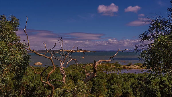 Wilson's Promontory National Park, south Gippsland, Victoria, Australia