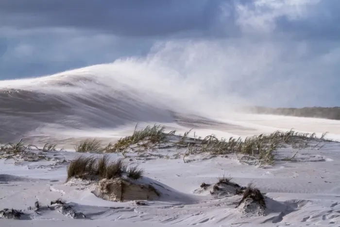 Framed Print : Dunes. Wind blowing the sand and causing sand drift off the beautiful textured dunes