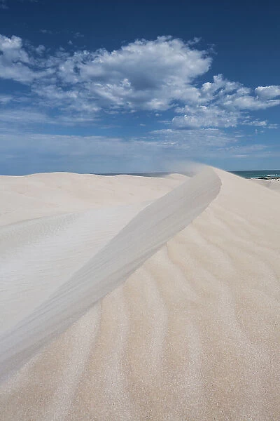 Wind swept sand dune