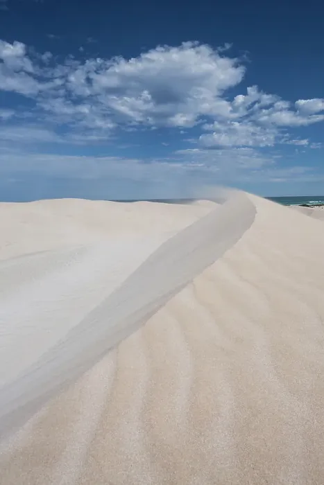 Framed Print : Wind swept sand dune