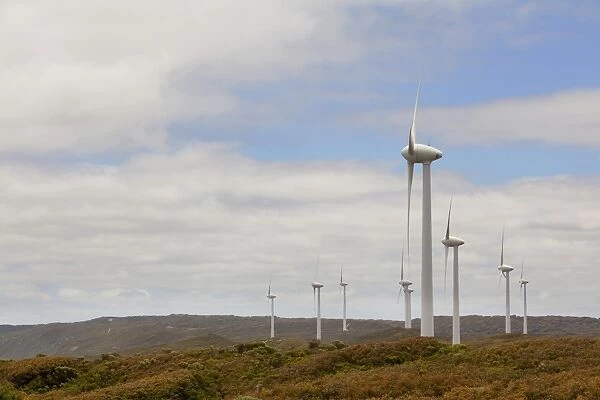 The Wind Turbines At The Albany Wind Farm At Sandpatch