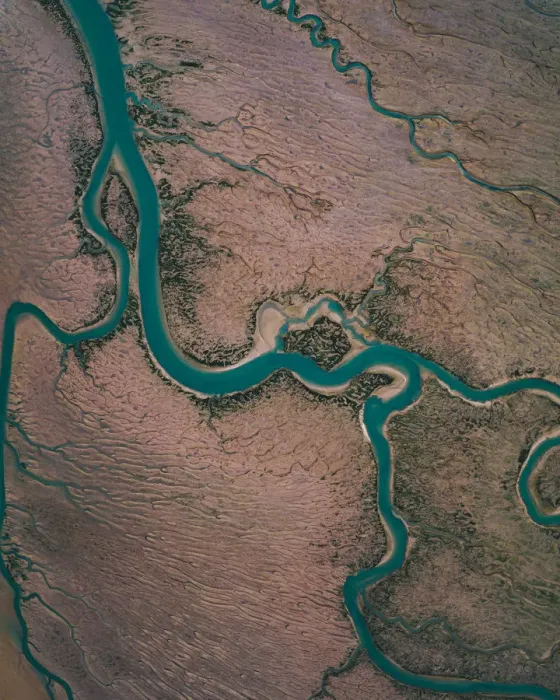 Framed Print : Winding river channel at low tide as seen from drones point of view, Lincolnshire Framed Print : Winding river channel at low tide as seen from drones point of view, Lincolnshire