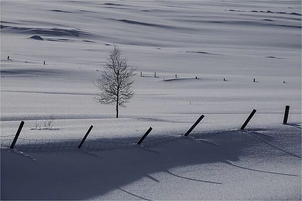 Winter fields near Godafoss