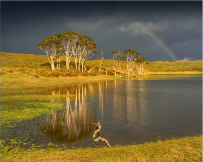 Framed Print : winter light at Attrills corner, King Island, Bass Strait, Tasmania, Australia Framed Print : winter light at Attrills corner, King Island, Bass Strait, Tasmania, Australia