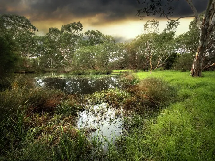 Framed Print : Winter Light at Braeside Park Wetlands Framed Print : Winter Light at Braeside Park Wetlands