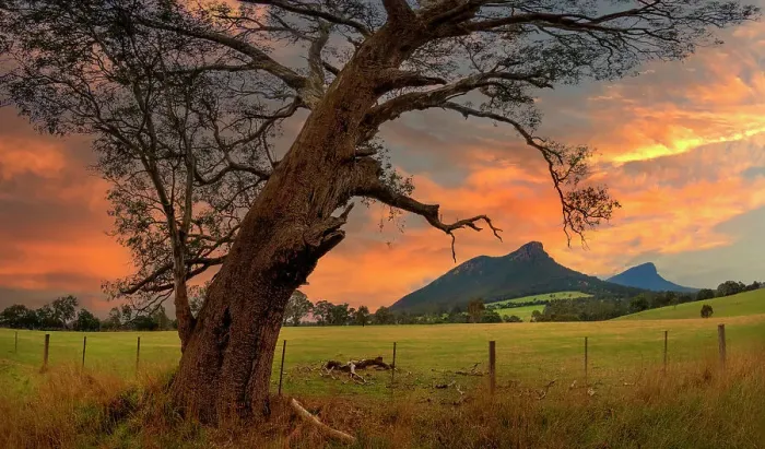 Framed Print : Winter Light, central-Victoria, Australia
