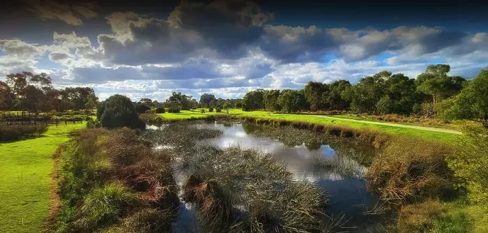 Framed Print : Winter Light at Hidden Grove, Keysborough, Victoria, Australia