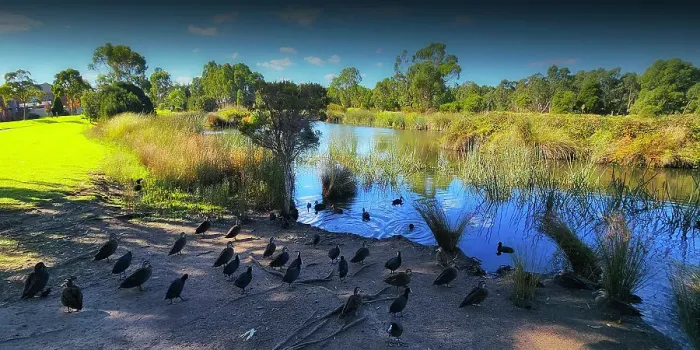 Framed Print : Winter Light at Hidden Grove, Keysborough, Victoria, Australia