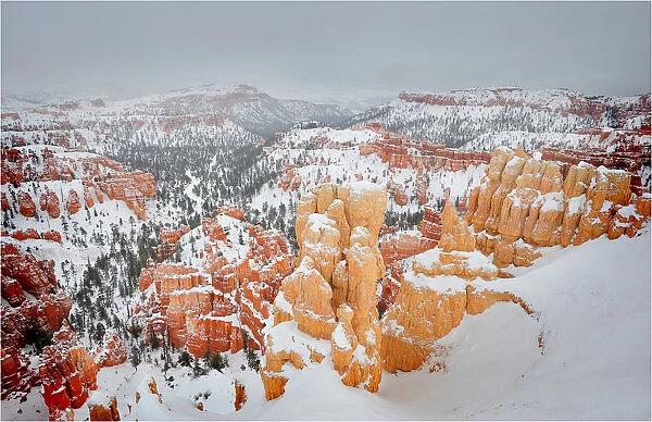 Winter and a mantle of snow in Bryce Canyon national park, Utah, USA