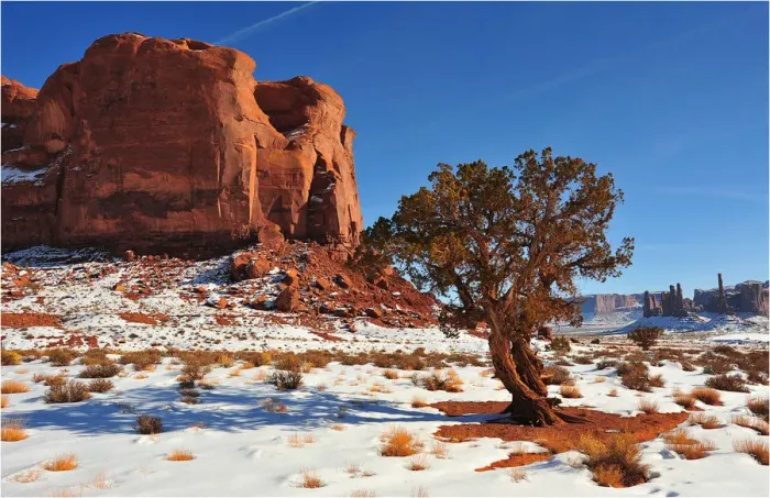 Framed Print : A winter mantle of snow in Canyon De Chelly, Arizona, Western united States of America Framed Print : A winter mantle of snow in Canyon De Chelly, Arizona, Western united States of America
