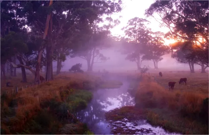 Framed Print : Winter Morning near Paradise, Central Tasmania, Australia