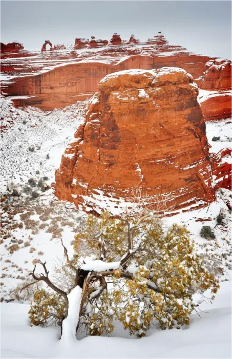 Framed Print : A winter scene in Arches national Park, Moab, Utah, USA Framed Print : A winter scene in Arches national Park, Moab, Utah, USA