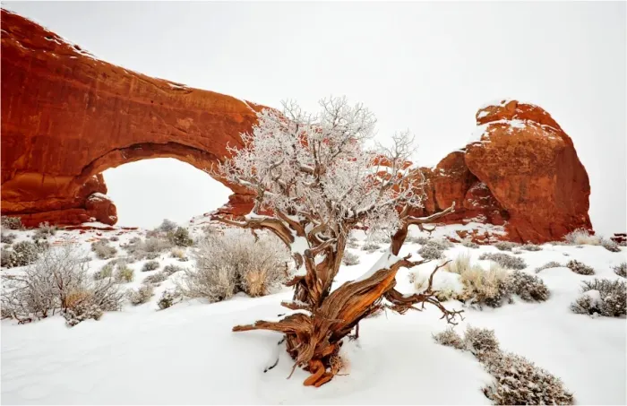 Framed Print : A winter scene in Arches national Park, Moab, Utah, USA Framed Print : A winter scene in Arches national Park, Moab, Utah, USA