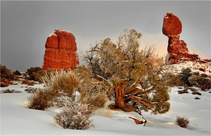 Framed Print : A winter scene in Arches national Park, Moab, Utah, USA Framed Print : A winter scene in Arches national Park, Moab, Utah, USA