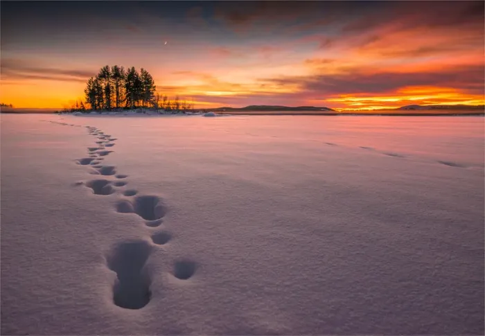 Framed Print : Winter scene on the coastline of the Baltic sea near Ranea, Lapland, Sweden Framed Print : Winter scene on the coastline of the Baltic sea near Ranea, Lapland, Sweden