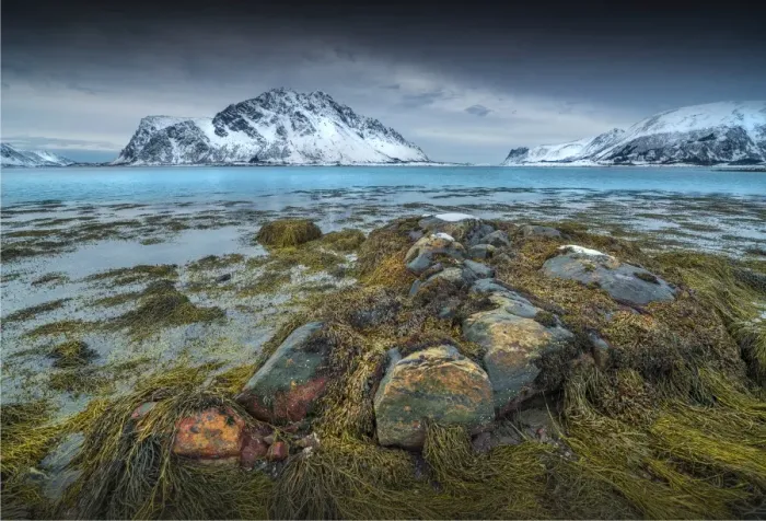Framed Print : A winter scene at Henningsvaer, Lofoten Peninsular, arctic circle of Norway
