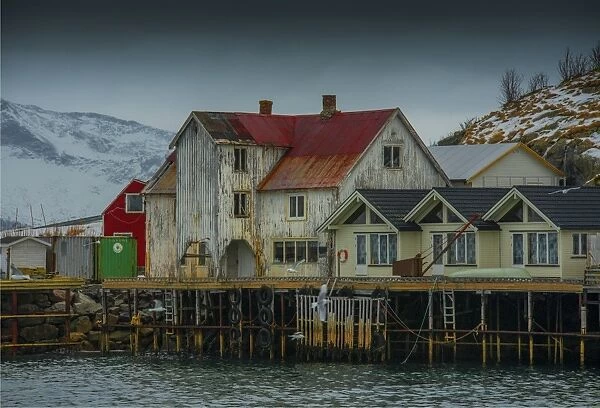 A winter scene at Henningsvaer, Lofoten Peninsular, arctic circle of Norway