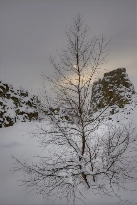 Framed Print : A winter scene at Pingvellir, Central Iceland