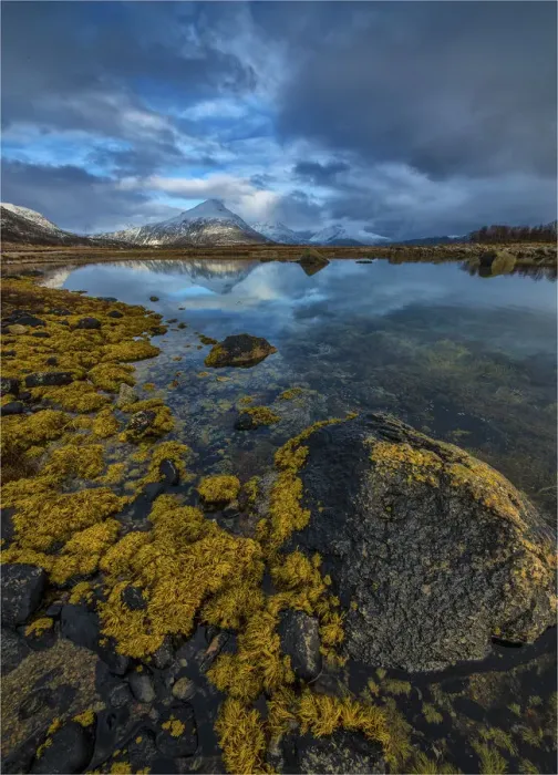 Framed Print : A winter Scenic, Lofoten Peninsular, Arctic circle, Norway