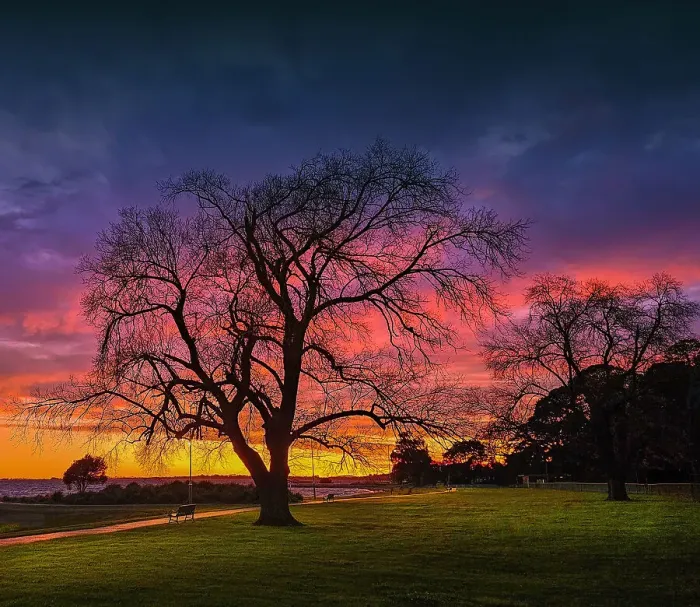 Framed Print : Winter-time and the first light of dawn on the shores of Lake Colac, Western District, Victoria, Australia