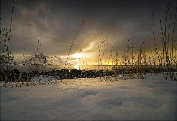 Winter time at Vareidsundet, Lofoten, the Arctic circle of Norway