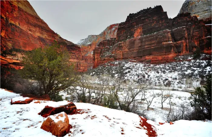 Framed Print : Winter in Zion National Park, Utah, southwest United States of America Framed Print : Winter in Zion National Park, Utah, southwest United States of America