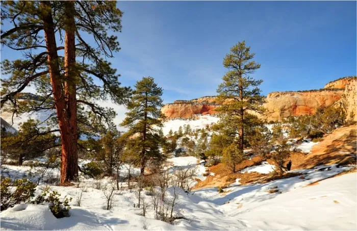 Framed Print : Winter in Zion National Park, Utah, southwest United States of America Framed Print : Winter in Zion National Park, Utah, southwest United States of America