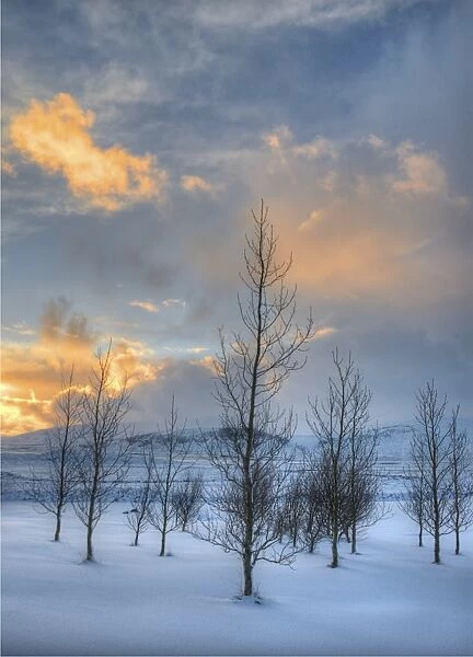 A winters morning in central Iceland