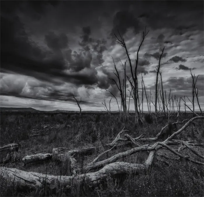 Framed Print : Winton Wetlands, Wangaratta district, Central Victoria Framed Print : Winton Wetlands, Wangaratta district, Central Victoria