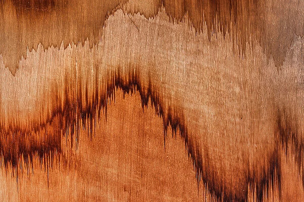Wood stains photographed from a close up point of view, Wyndham, Western Australia, Australia