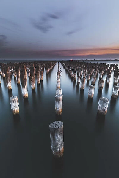 Wooden Pylons of Old Pier