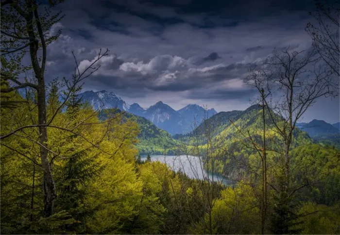 Framed Print : Woodlands, Neuschwantein, Bavaria, Germany Framed Print : Woodlands, Neuschwantein, Bavaria, Germany