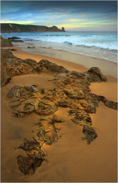 Framed Print : Woolami Beach and coastline, Phillip Island, Victoria, Australia